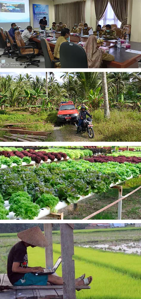 Companys Social Responsibility