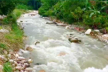 Sungai Tetra PLTM Sumatra
